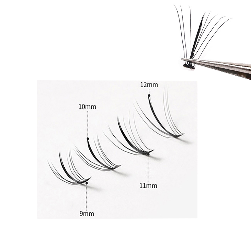 Anlinnet NEW Japanese And Kore - Eyelash Extension Japanese Style 리뷰 및 가격