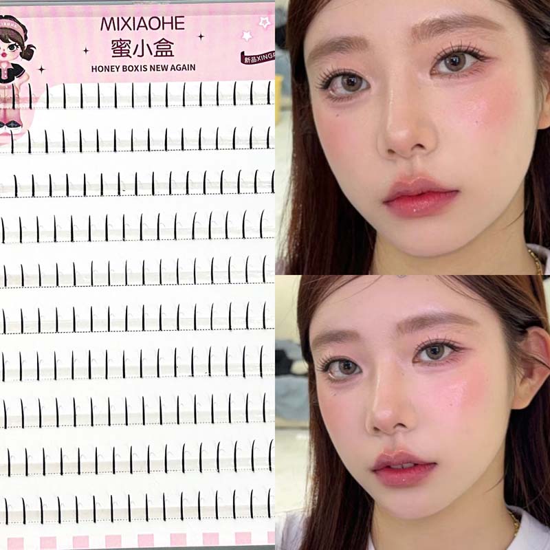 Mixiaohe 60/200 Clusters Fairy - Eyelash Extension Japanese Style 리뷰 및 가격