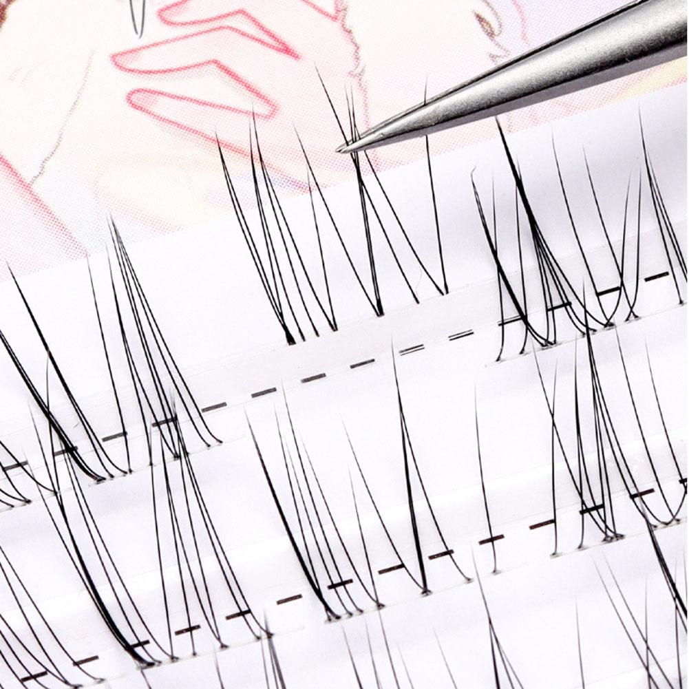 Sunflower Lashes Brown Manga F - Eyelash Extension Douyin 리뷰 및 가격