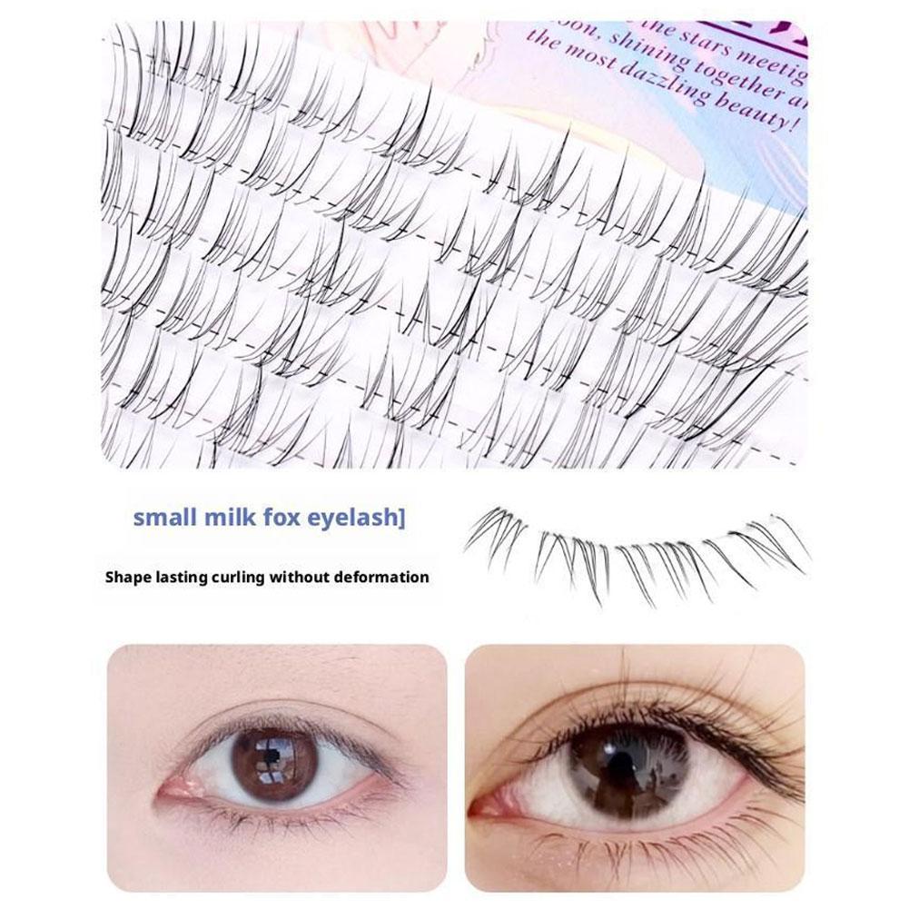 Sunflower Lashes Brown Manga F - Eyelash Extension Douyin 리뷰 및 가격