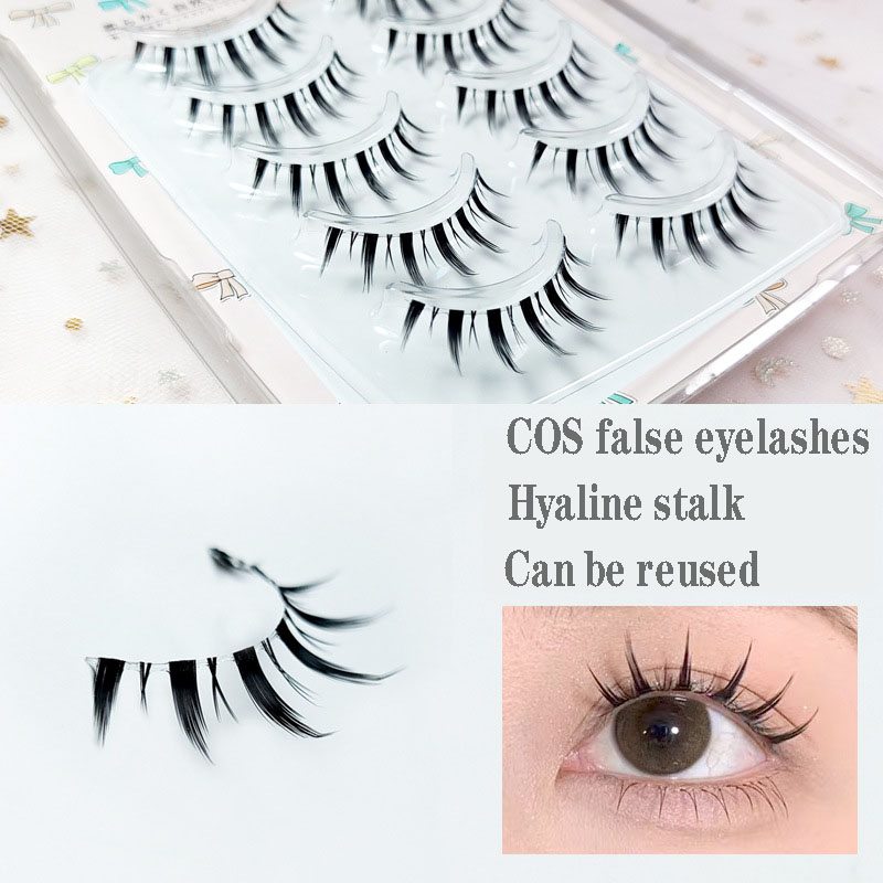 New Style 5Pairs Women Natural - Eyelash Extension Japanese Style 리뷰 및 가격